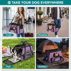 Airline Approved Pet Carrier Cats & Small Dogs, Large Heather Purple