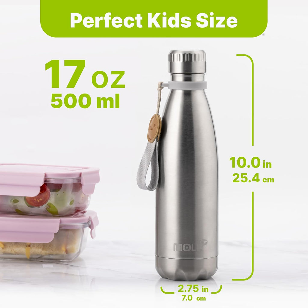 17Oz Stainless Steel Water Bottle,Double Walled Vacuum Leakproof,Silver | Cola Shape Vacuum Insulated Stainless Steel Water Bottle, Double Walled Design for Sports, School & Daily Outdoor Use