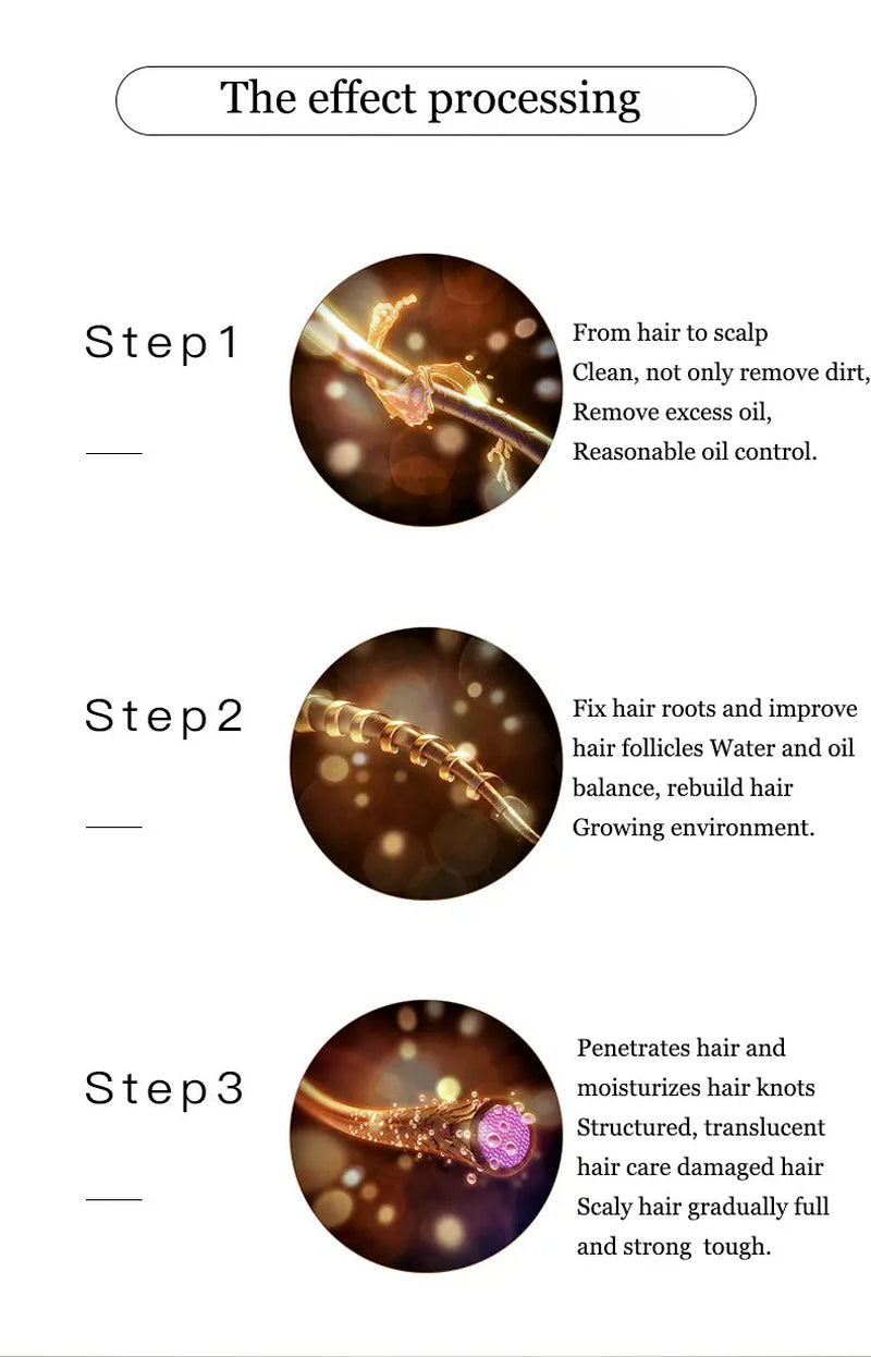 Chinese Formula Ginger Shampoo for anti Hair Loss Fast Growth Hair Grow Thicker Dense Control Hair Oil Treatment Dandruff 300Ml