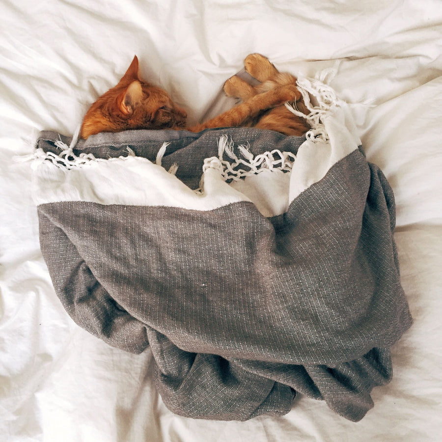 Pets