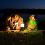 Light up Dog Collars, USB Rechargeable LED Dog Collar, TPU Cuttable Dog Glow Collar, High Visibility Puppy Collar Safety Dog Lights for Night Walking(Green)
